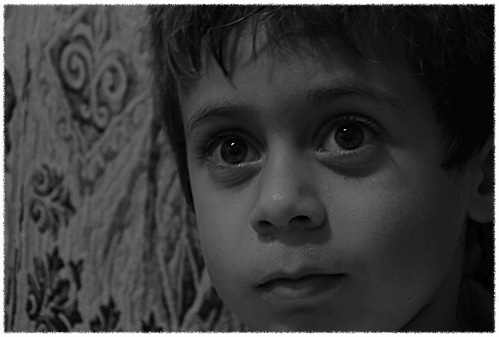 Hipnotitzats per la tele