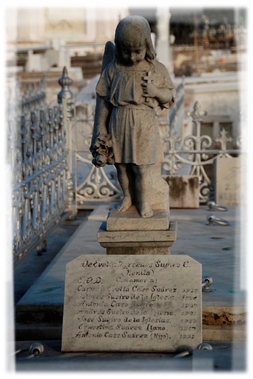 Petites &agrave;nimes